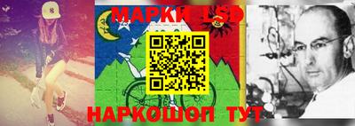 индика Владикавказ