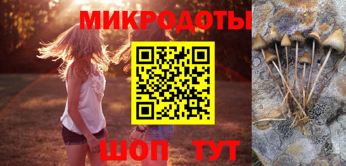 Галлюциногенные грибы GOLDEN TEACHER  Вход с VPN  Галлюциногенные грибы мухоморы  Владикавказ 