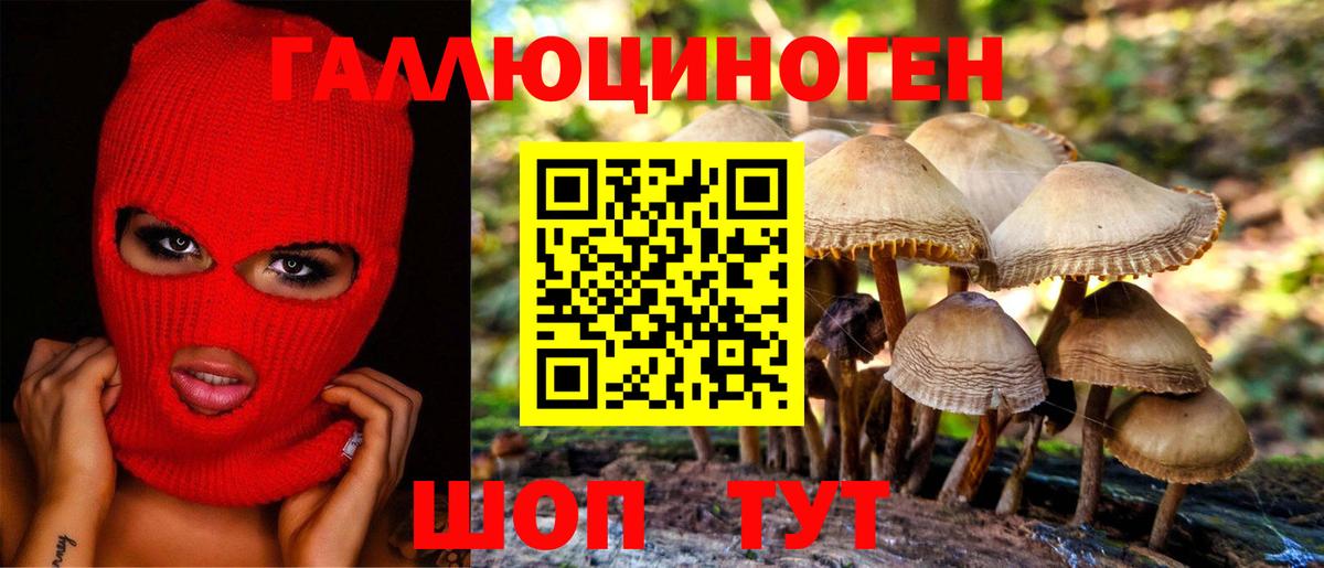 Галлюциногенные грибы Cubensis Владикавказ